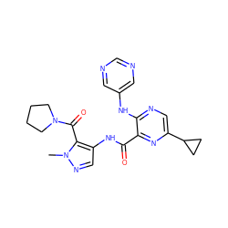 Cn1ncc(NC(=O)c2nc(C3CC3)cnc2Nc2cncnc2)c1C(=O)N1CCCC1 ZINC000169701776