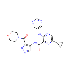 Cn1ncc(NC(=O)c2nc(C3CC3)cnc2Nc2cncnc2)c1C(=O)N1CCOCC1 ZINC000169701802