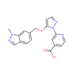 Cn1ncc2ccc(COc3ccnn3-c3cc(C(=O)O)ccn3)cc21 ZINC000146834489