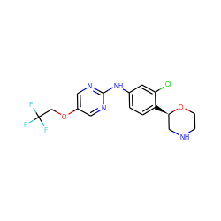 FC(F)(F)COc1cnc(Nc2ccc([C@@H]3CNCCO3)c(Cl)c2)nc1 ZINC000149998667