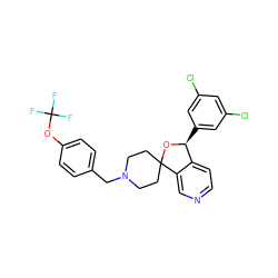 FC(F)(F)Oc1ccc(CN2CCC3(CC2)O[C@@H](c2cc(Cl)cc(Cl)c2)c2ccncc23)cc1 ZINC000073275033