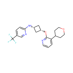 FC(F)(F)c1ccc(N[C@H]2C[C@@H](Oc3ncccc3C3CCOCC3)C2)nc1 ZINC000143455409