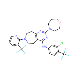 FC(F)(F)c1ccc(Nc2nc(N3CCCOCC3)nc3c2CCN(c2ncccc2C(F)(F)F)CC3)cc1Cl ZINC000137653639