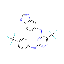 FC(F)(F)c1ccc(Nc2ncc(C(F)(F)F)c(Nc3ccc4[nH]cnc4c3)n2)cc1 ZINC000028523316