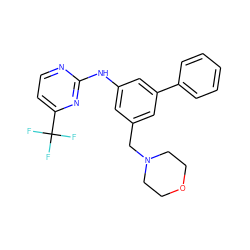 FC(F)(F)c1ccnc(Nc2cc(CN3CCOCC3)cc(-c3ccccc3)c2)n1 ZINC000145400913