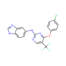 FC(F)(F)c1cnc(Nc2ccc3[nH]cnc3c2)nc1Oc1ccc(Cl)cc1 ZINC000028521103