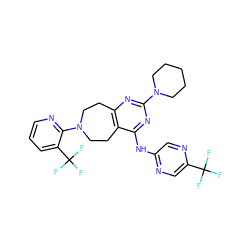 FC(F)(F)c1cnc(Nc2nc(N3CCCCC3)nc3c2CCN(c2ncccc2C(F)(F)F)CC3)cn1 ZINC000064549800