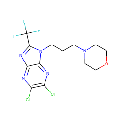 FC(F)(F)c1nc2nc(Cl)c(Cl)nc2n1CCCN1CCOCC1 ZINC000031719790