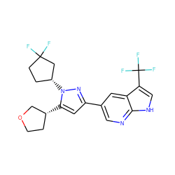 FC1(F)CC[C@@H](n2nc(-c3cnc4[nH]cc(C(F)(F)F)c4c3)cc2[C@@H]2CCOC2)C1 ZINC000146509210