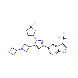 FC1(F)CC[C@@H](n2nc(-c3cnc4[nH]cc(C(F)(F)F)c4c3)cc2C2CN(C3COC3)C2)C1 ZINC000146456365