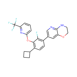 Fc1c(-c2cnc3c(c2)OCCN3)ccc(C2CCC2)c1Oc1cccc(C(F)(F)F)n1 ZINC000224551623