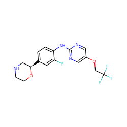 Fc1cc([C@@H]2CNCCO2)ccc1Nc1ncc(OCC(F)(F)F)cn1 ZINC000149948699