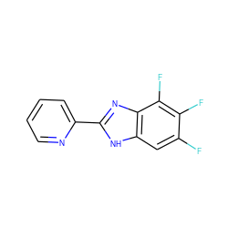 Fc1cc2[nH]c(-c3ccccn3)nc2c(F)c1F ZINC000113173778