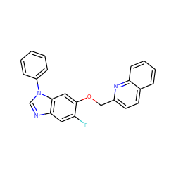 Fc1cc2ncn(-c3ccccc3)c2cc1OCc1ccc2ccccc2n1 ZINC000103247866