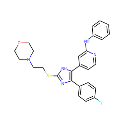 Fc1ccc(-c2nc(SCCN3CCOCC3)[nH]c2-c2ccnc(Nc3ccccc3)c2)cc1 ZINC001772583922