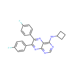 Fc1ccc(-c2nc3ncnc(NC4CCC4)c3nc2-c2ccc(F)cc2)cc1 ZINC000028342660