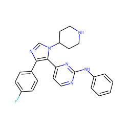 Fc1ccc(-c2ncn(C3CCNCC3)c2-c2ccnc(Nc3ccccc3)n2)cc1 ZINC000026719121