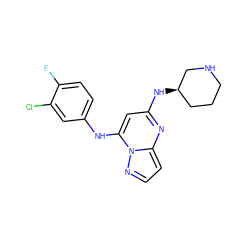 Fc1ccc(Nc2cc(N[C@@H]3CCCNC3)nc3ccnn23)cc1Cl ZINC000095552605