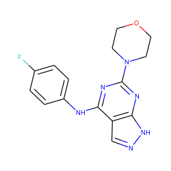 Fc1ccc(Nc2nc(N3CCOCC3)nc3[nH]ncc23)cc1 ZINC000023135917