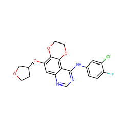 Fc1ccc(Nc2ncnc3cc(O[C@@H]4CCOC4)c4c(c23)OCCO4)cc1Cl ZINC000653861705