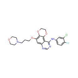 Fc1ccc(Nc2ncnc3cc(OCCCN4CCOCC4)c4c(c23)OCCO4)cc1Cl ZINC000653864151