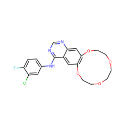 Fc1ccc(Nc2ncnc3cc4c(cc23)OCCOCCOCCO4)cc1Cl ZINC000038389202