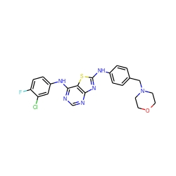 Fc1ccc(Nc2ncnc3nc(Nc4ccc(CN5CCOCC5)cc4)sc23)cc1Cl ZINC000034874841