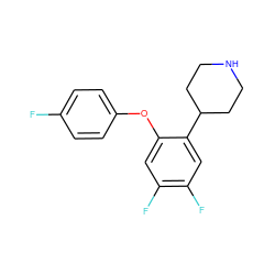 Fc1ccc(Oc2cc(F)c(F)cc2C2CCNCC2)cc1 ZINC000045286469