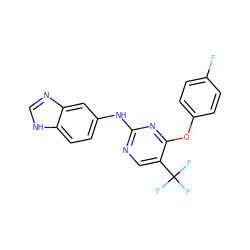 Fc1ccc(Oc2nc(Nc3ccc4[nH]cnc4c3)ncc2C(F)(F)F)cc1 ZINC000028522472