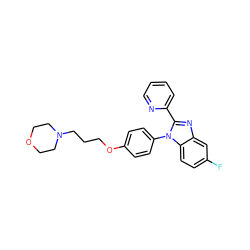 Fc1ccc2c(c1)nc(-c1ccccn1)n2-c1ccc(OCCCN2CCOCC2)cc1 ZINC000038226045