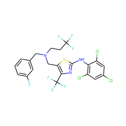 Fc1cccc(CN(CCC(F)(F)F)Cc2sc(Nc3c(Cl)cc(Cl)cc3Cl)nc2C(F)(F)F)c1 ZINC000028133626