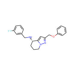 Fc1cccc(CN[C@H]2CCCn3nc(COc4ccccc4)cc32)c1 ZINC000299834641