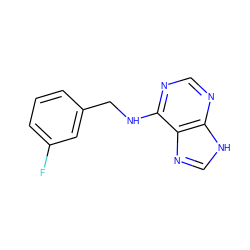 Fc1cccc(CNc2ncnc3[nH]cnc23)c1 ZINC000020473712