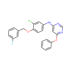 Fc1cccc(COc2ccc(Nc3cc(Oc4ccccc4)ncn3)cc2Cl)c1 ZINC000066112206