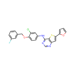 Fc1cccc(COc2ccc(Nc3ncnc4cc(-c5ccco5)sc34)cc2Cl)c1 ZINC000040410139