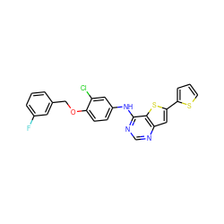 Fc1cccc(COc2ccc(Nc3ncnc4cc(-c5cccs5)sc34)cc2Cl)c1 ZINC000040402640