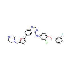 Fc1cccc(COc2ccc(Nc3ncnc4ccc(-c5ccc(CN6CCNCC6)o5)cc34)cc2Cl)c1 ZINC000096937289