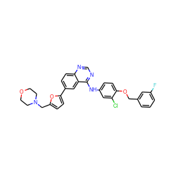 Fc1cccc(COc2ccc(Nc3ncnc4ccc(-c5ccc(CN6CCOCC6)o5)cc34)cc2Cl)c1 ZINC000096937287