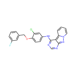 Fc1cccc(COc2ccc(Nc3ncnc4nn5ccccc5c34)cc2Cl)c1 ZINC000028331194