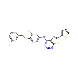 Fc1cccc(COc2ccc(Nc3ncnc4sc(-c5cccs5)cc34)cc2Cl)c1 ZINC000040379218