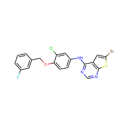 Fc1cccc(COc2ccc(Nc3ncnc4sc(Br)cc34)cc2Cl)c1 ZINC000143496533