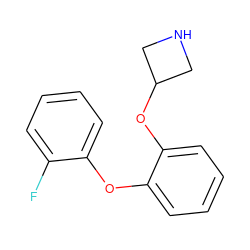 Fc1ccccc1Oc1ccccc1OC1CNC1 ZINC000066112436