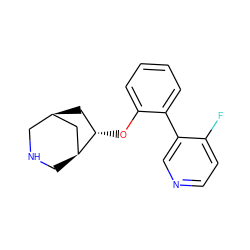 Fc1ccncc1-c1ccccc1O[C@H]1C[C@@H]2CNC[C@H]1C2 ZINC000058534769