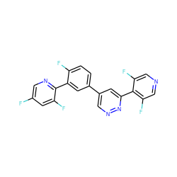 Fc1cnc(-c2cc(-c3cnnc(-c4c(F)cncc4F)c3)ccc2F)c(F)c1 ZINC000013686159