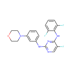 Fc1cnc(Nc2cccc(N3CCOCC3)c2)nc1Nc1c(F)cccc1F ZINC000653749411