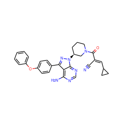 N#C/C(=C\C1CC1)C(=O)N1CCC[C@H](n2nc(-c3ccc(Oc4ccccc4)cc3)c3c(N)ncnc32)C1 ZINC000149689310