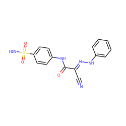 N#C/C(=N\Nc1ccccc1)C(=O)Nc1ccc(S(N)(=O)=O)cc1 ZINC000095590846