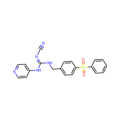 N#C/N=C(\NCc1ccc(S(=O)(=O)c2ccccc2)cc1)Nc1ccncc1 ZINC000103230447