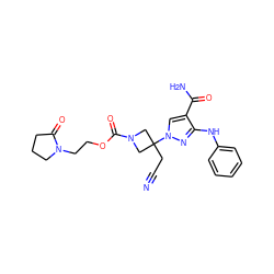 N#CCC1(n2cc(C(N)=O)c(Nc3ccccc3)n2)CN(C(=O)OCCN2CCCC2=O)C1 ZINC000222075959