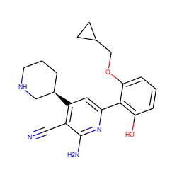 N#Cc1c([C@@H]2CCCNC2)cc(-c2c(O)cccc2OCC2CC2)nc1N ZINC000028366149